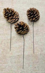 IMG-20230904-WA00008