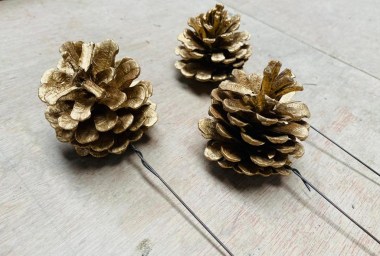 IMG-20230904-WA00037